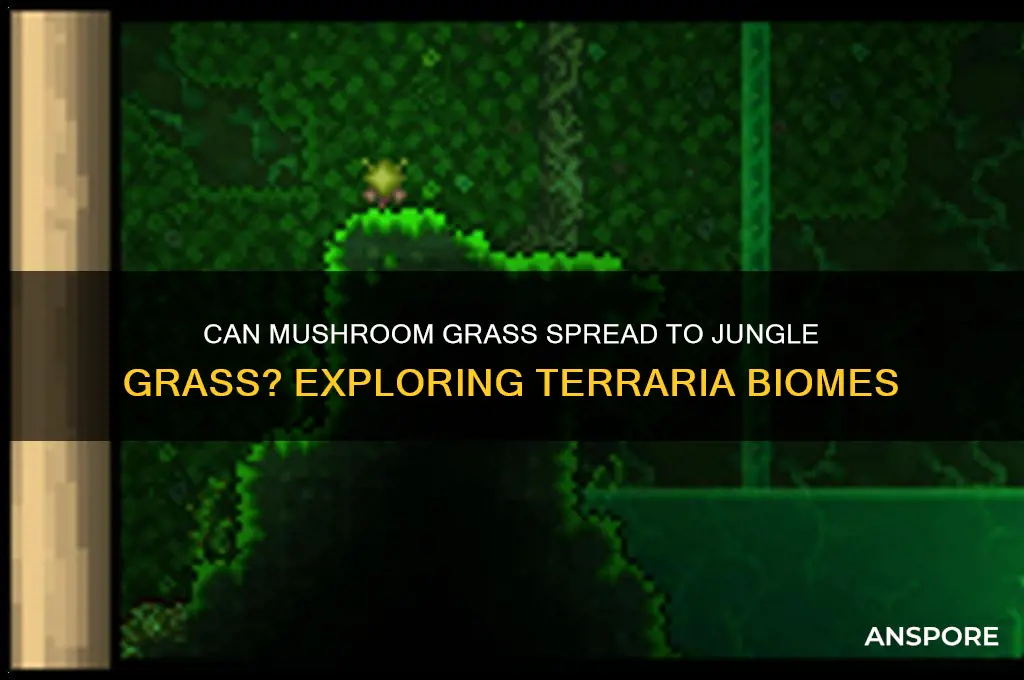 can mushroom grass spread to jungle grass
