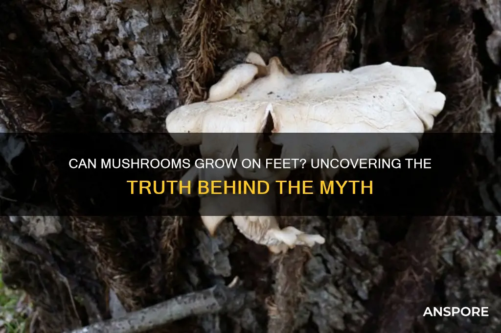 can mushroom grow on feet