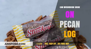 Can Mushrooms Thrive on Pecan Logs? A Cultivation Guide