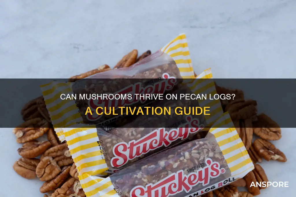 can mushroom grow on pecan log
