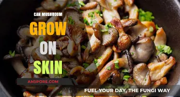 Can Mushrooms Grow on Skin? Uncovering the Truth and Risks