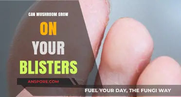 Can Mushrooms Grow on Blisters? Unraveling the Truth Behind the Myth