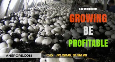 Is Mushroom Farming a Profitable Business Venture? Exploring the Potential