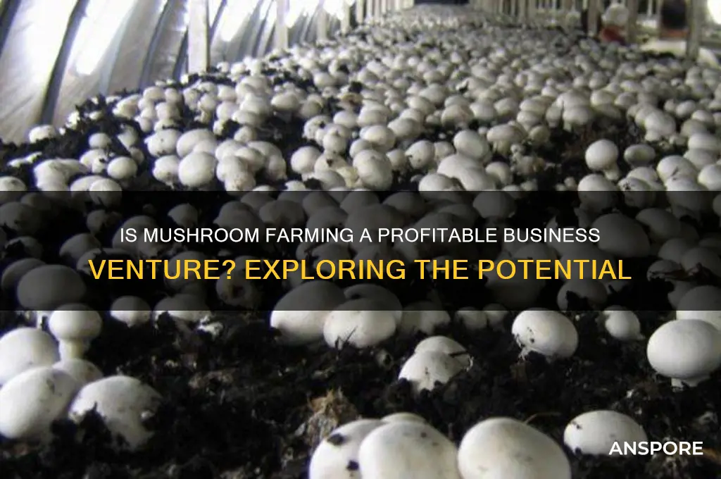 can mushroom growing be profitable