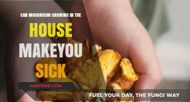 Household Mushroom Growth: Potential Health Risks and Safety Tips