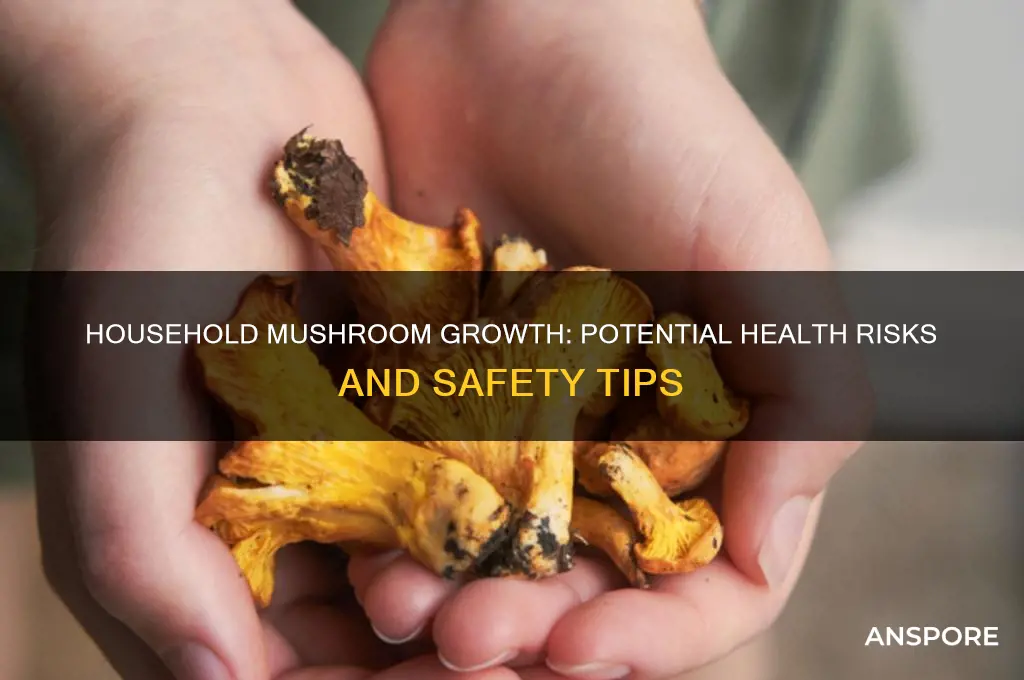 can mushroom growing in the house makeyou sick