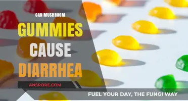 Mushroom Gummies and Diarrhea: Unraveling the Digestive Side Effects