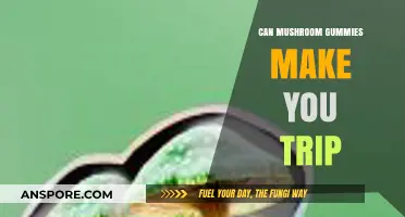 Do Mushroom Gummies Cause Psychedelic Trips? Facts and Risks Explained