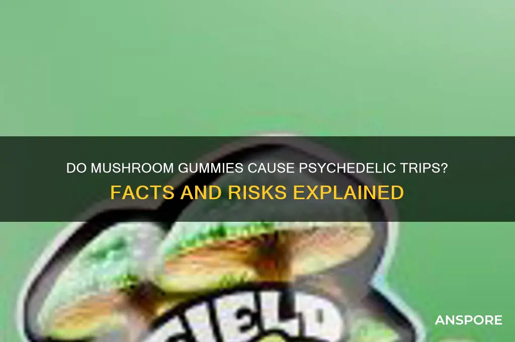 can mushroom gummies make you trip