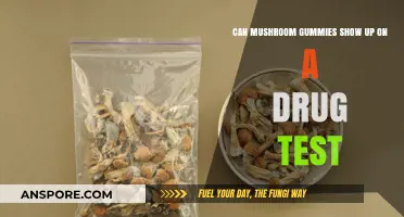Do Mushroom Gummies Appear on Standard Drug Tests? Find Out Here