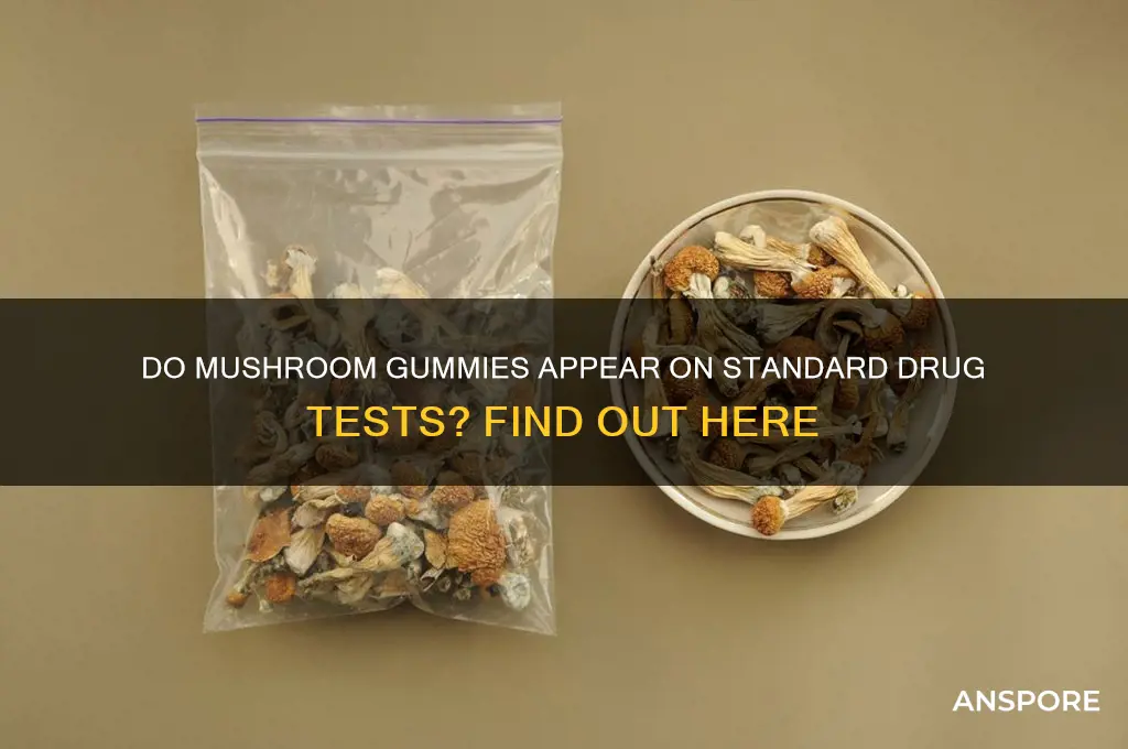 can mushroom gummies show up on a drug test