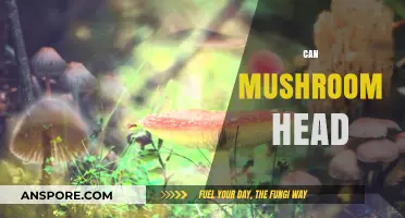 Can Mushroom Head: Unveiling the Truth Behind This Unique Phenomenon