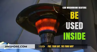 Are Mushroom Heaters Safe for Indoor Use? A Comprehensive Guide