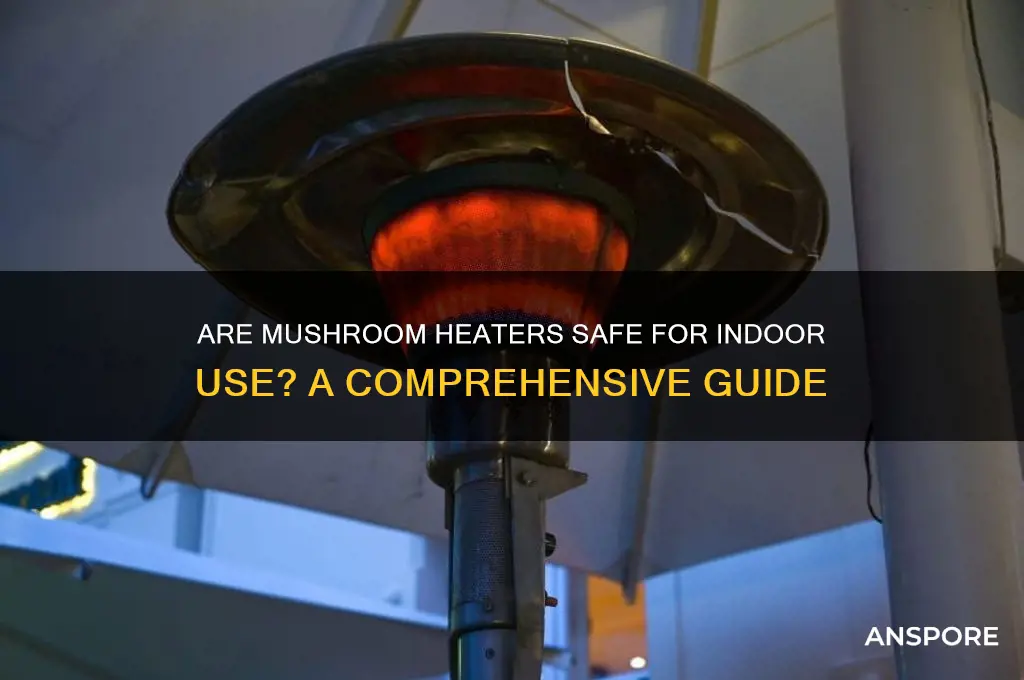 can mushroom heaters be used inside