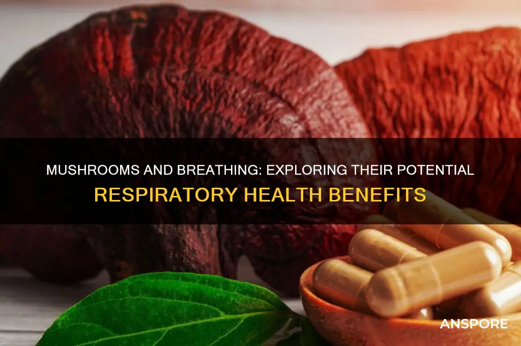 can mushroom help respiration