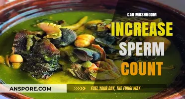 Boosting Fertility: Can Mushrooms Naturally Increase Sperm Count?