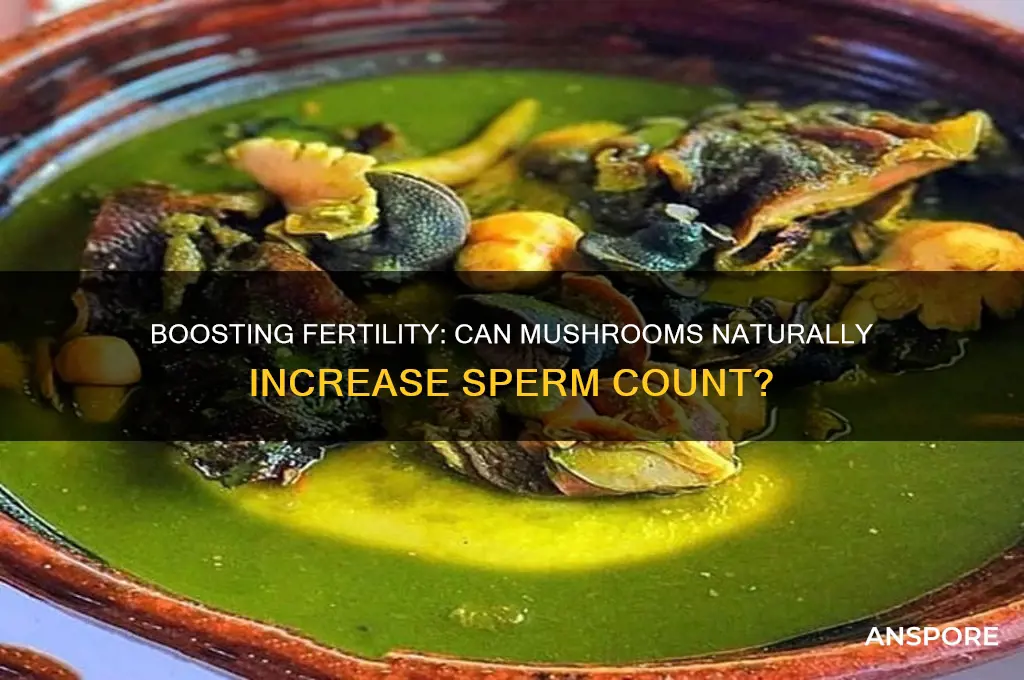 can mushroom increase sperm count