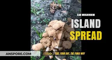 Can Mushroom Islands Expand? Exploring Their Growth and Spread in Minecraft