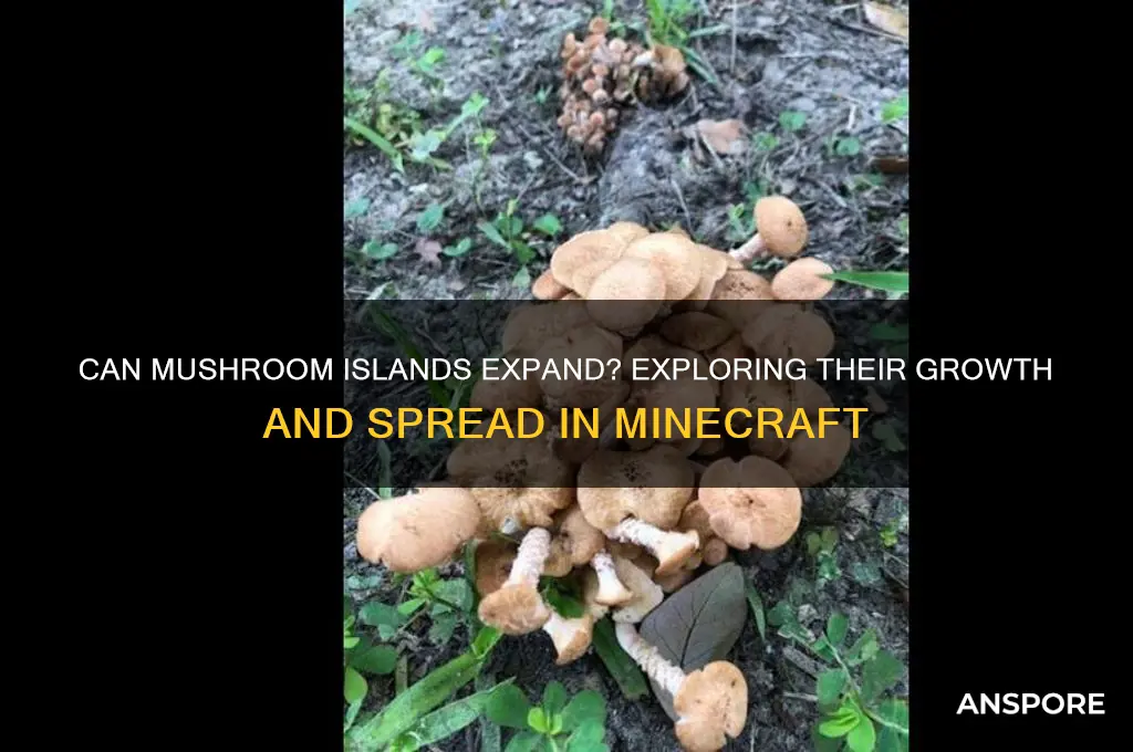 can mushroom island spread
