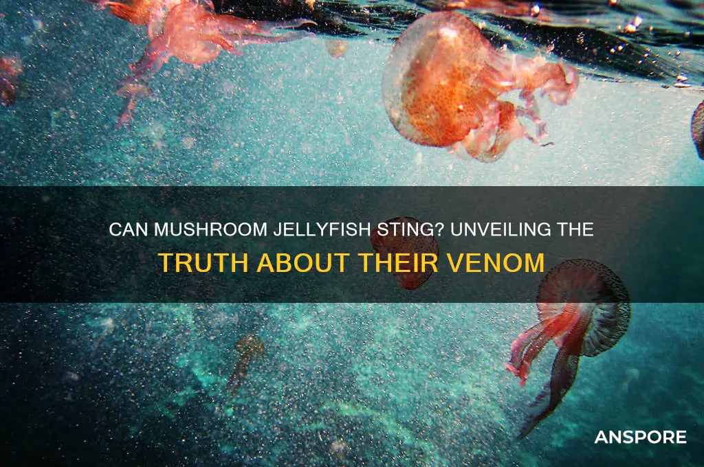 can mushroom jellyfish sting