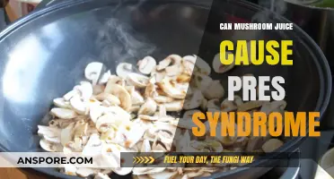 Mushroom Juice and PRES: Unraveling the Potential Health Risks