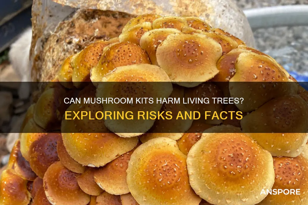 can mushroom kits spread to living trees