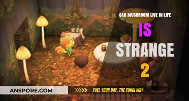 Can Mushrooms Thrive in the World of Life is Strange 2?