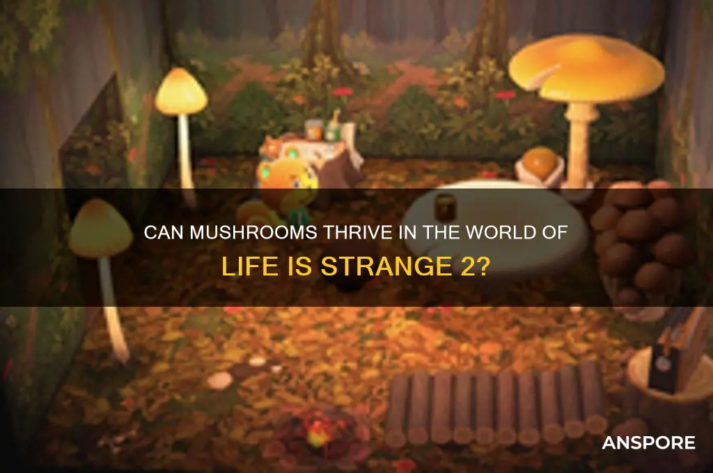 can mushroom live in life is strange 2