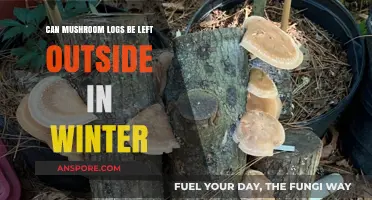 Winter Care for Mushroom Logs: Outdoor Survival Tips and Best Practices