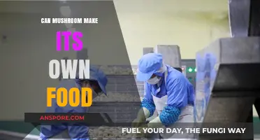 Can Mushrooms Make Their Own Food? Unveiling Fungal Nutrition Secrets