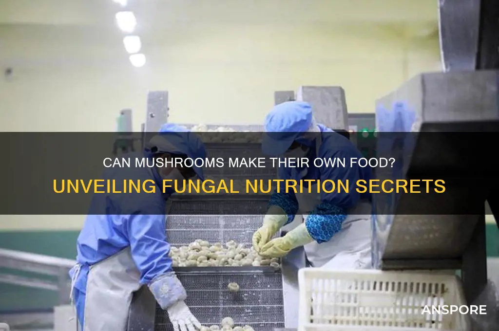 can mushroom make its own food