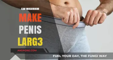 Mushroom Myths Debunked: Can Fungi Really Enlarge Penis Size?