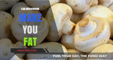 Mushrooms and Weight Gain: Separating Fact from Fiction in Your Diet