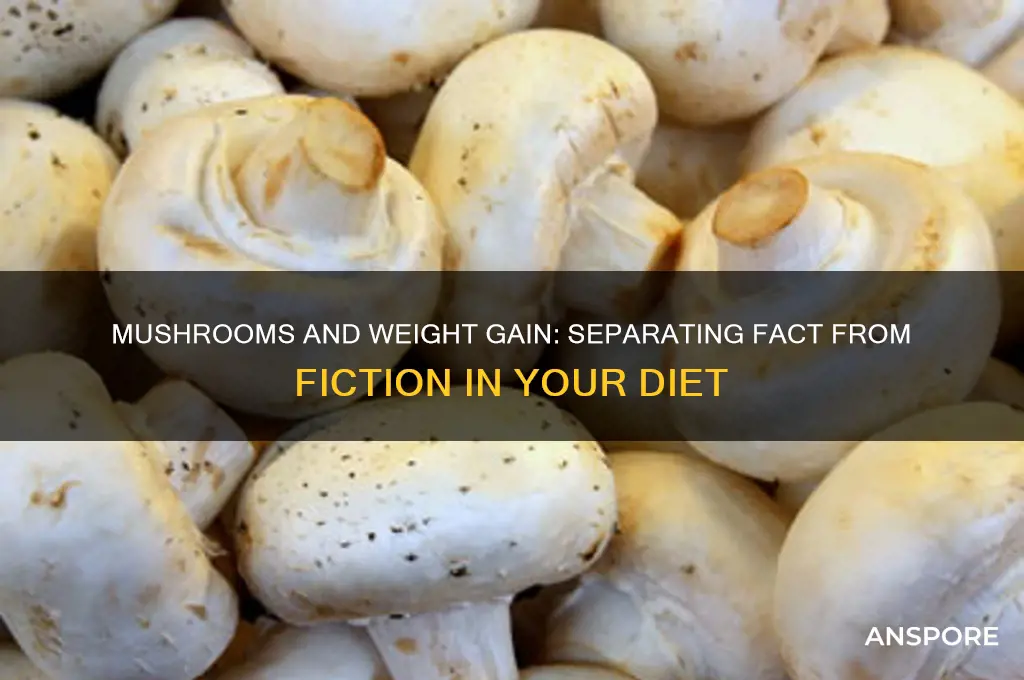 can mushroom make you fat