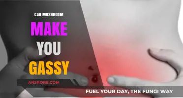 Mushrooms and Gas: Unraveling the Truth Behind Digestive Discomfort