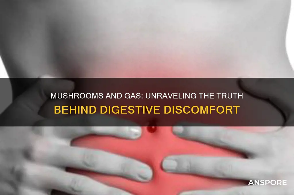 can mushroom make you gassy