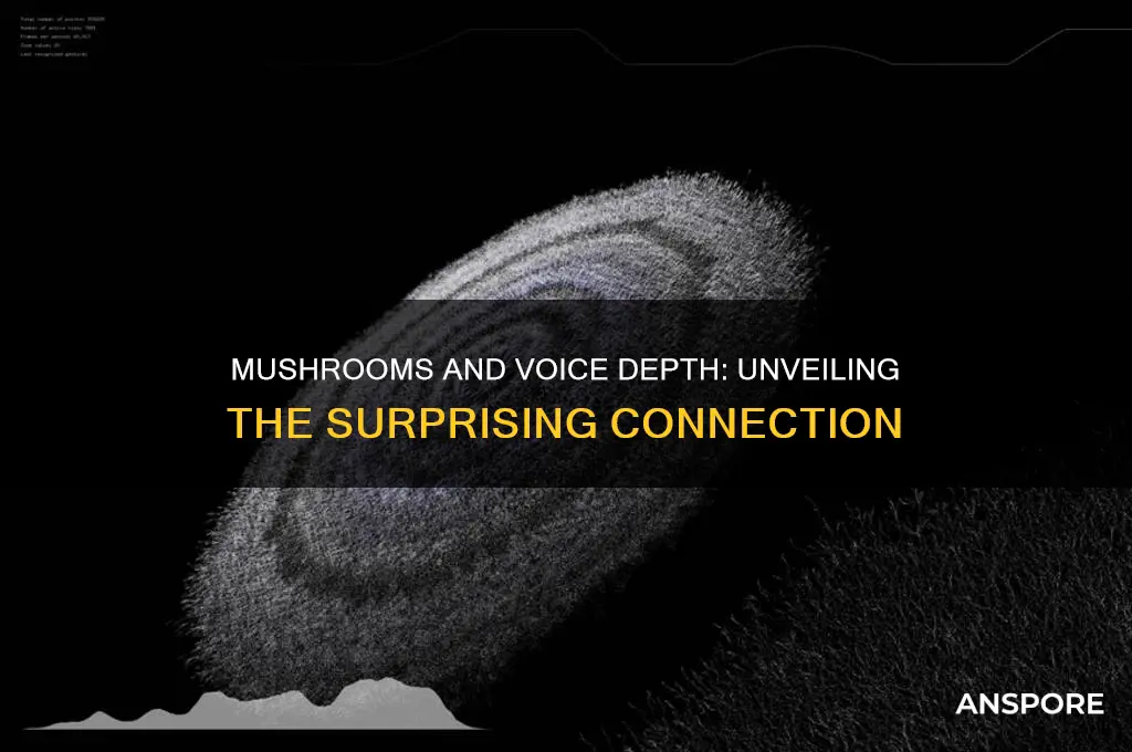 can mushroom make your voice deeper