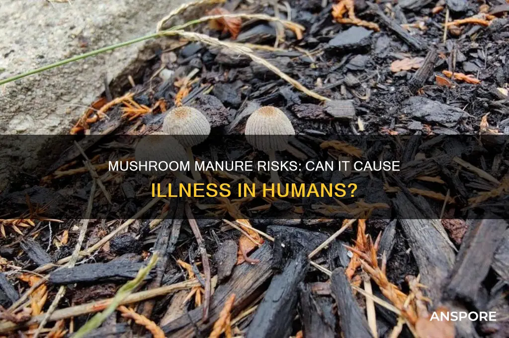 can mushroom manure make you sick