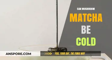 Can Mushroom Matcha Be Enjoyed Cold? A Refreshing Wellness Trend