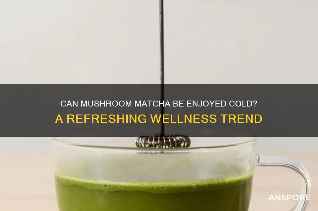can mushroom matcha be cold