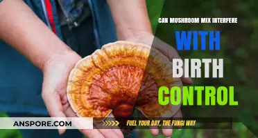 Mushroom Mix and Birth Control: Potential Interactions Explained