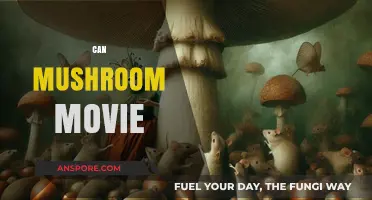 Can Mushrooms Inspire Cinematic Magic? Exploring Fungal Film Potential