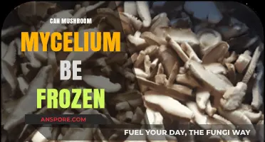 Freezing Mushroom Mycelium: Preservation Techniques and Long-Term Storage Tips