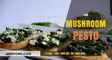Can Mushroom Pesto Transform Your Meals? A Flavorful Recipe Guide