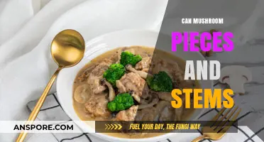 Mushroom Pieces and Stems: Nutritional Value, Culinary Uses, and Benefits