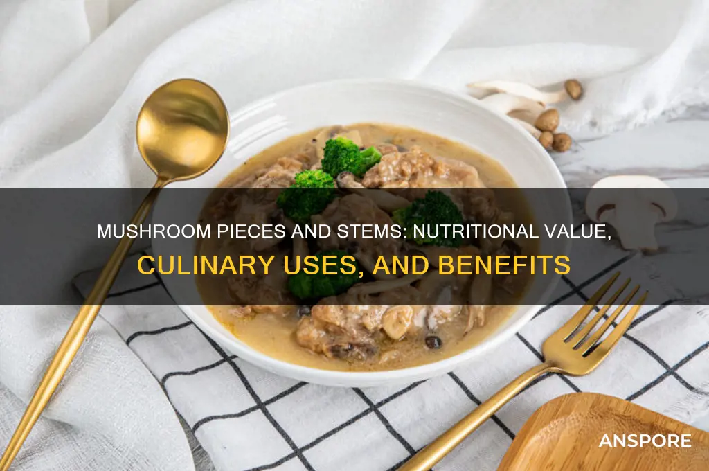 can mushroom pieces and stems