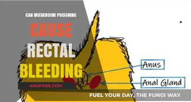Mushroom Poisoning and Rectal Bleeding: Uncovering the Dangerous Link