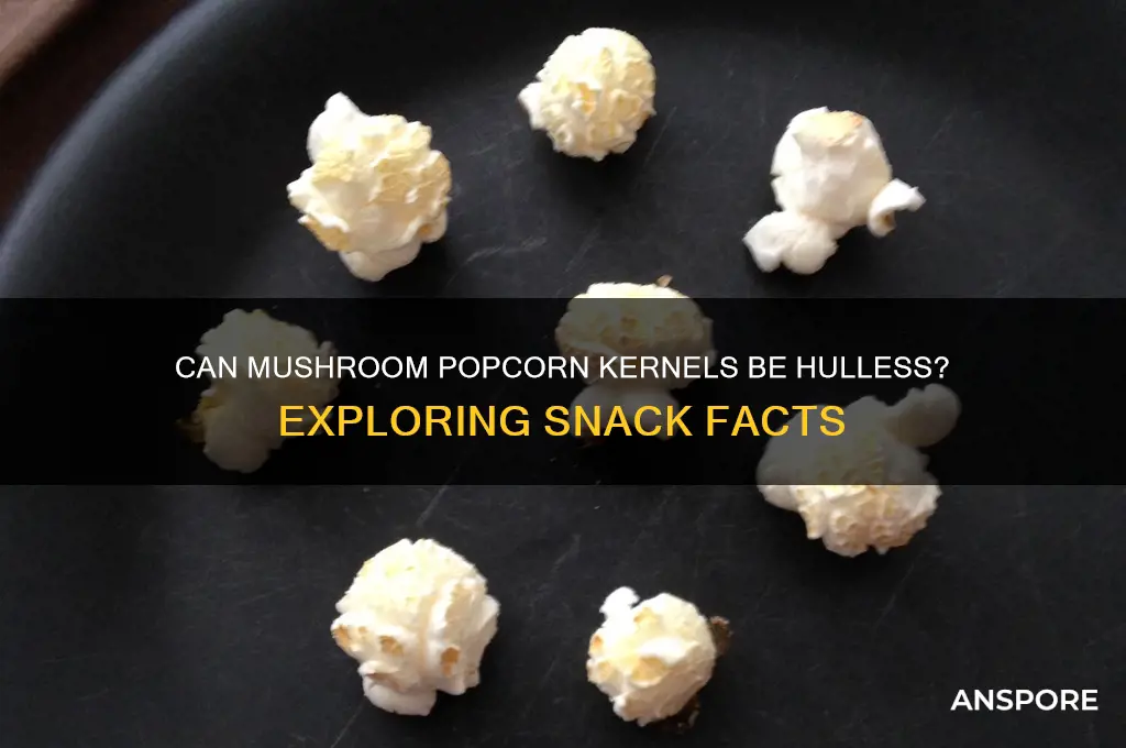 can mushroom popcorn kernels be hulless