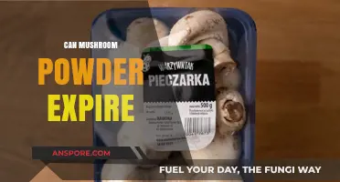 Does Mushroom Powder Expire? Shelf Life and Storage Tips Revealed