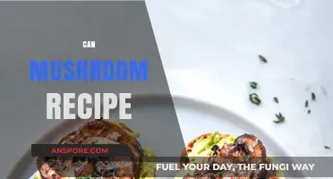 Delicious Can Mushroom Recipe Ideas for Quick and Easy Meals